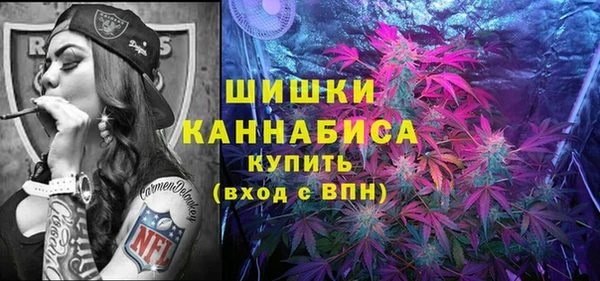 дмт Новозыбков