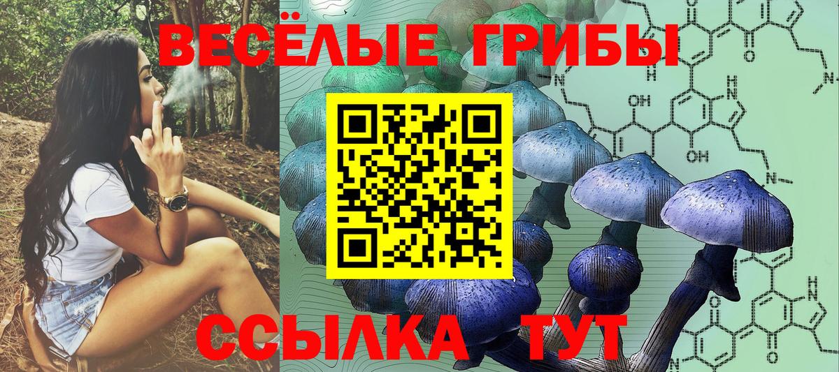 Галлюциногенные грибы ЛСД  Вход с VPN  Старая Купавна 